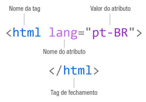 Tag HTML com o atributo lang declarado para definir a linguagem da página.
